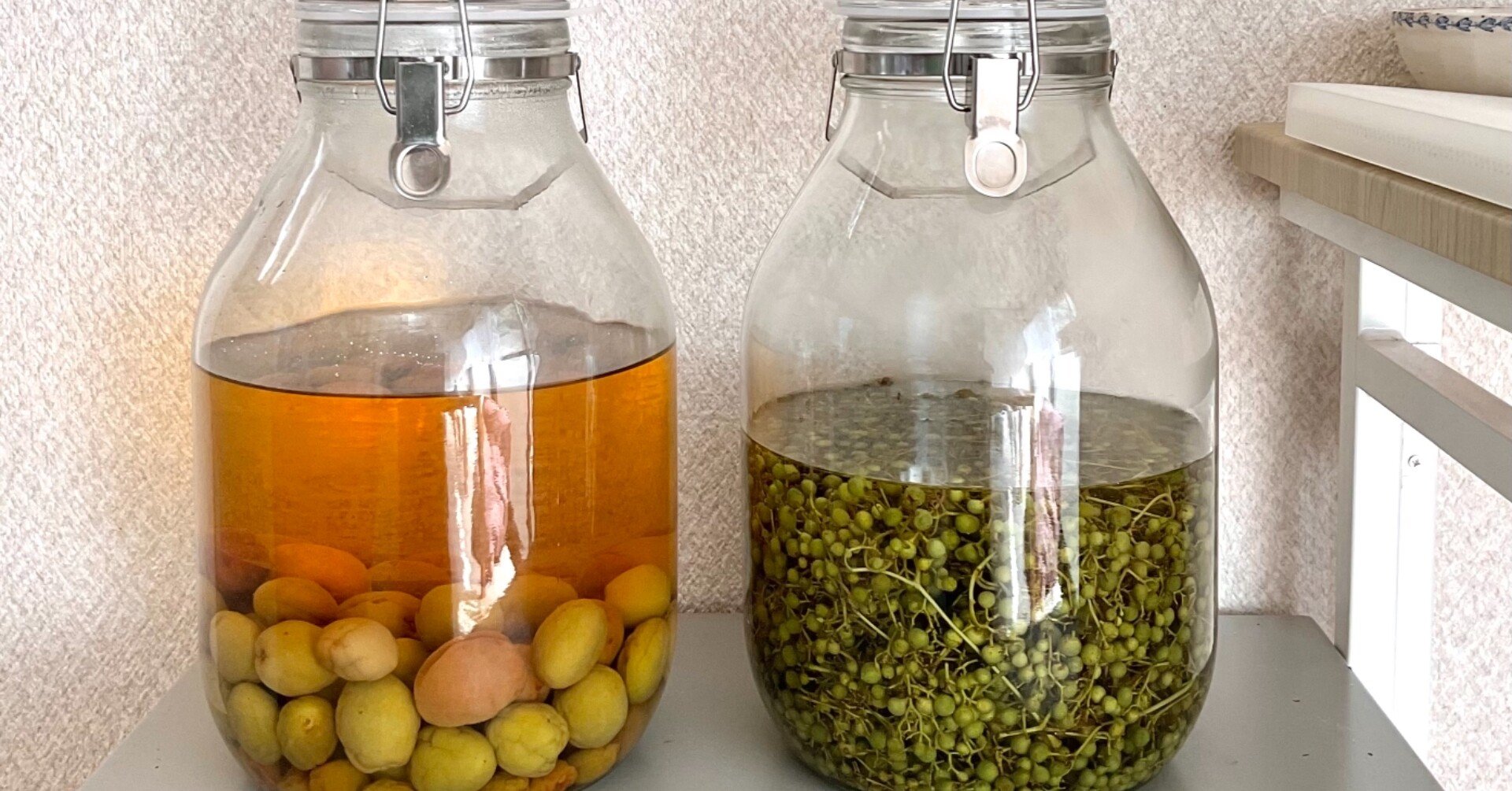 野草食日記256 ノブドウの焼酎漬け その2｜なな艸 (ななくさ)