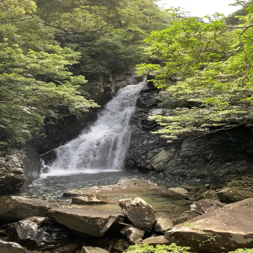 世界自然遺産やんばる国立公園part1 コーラルワーク Note