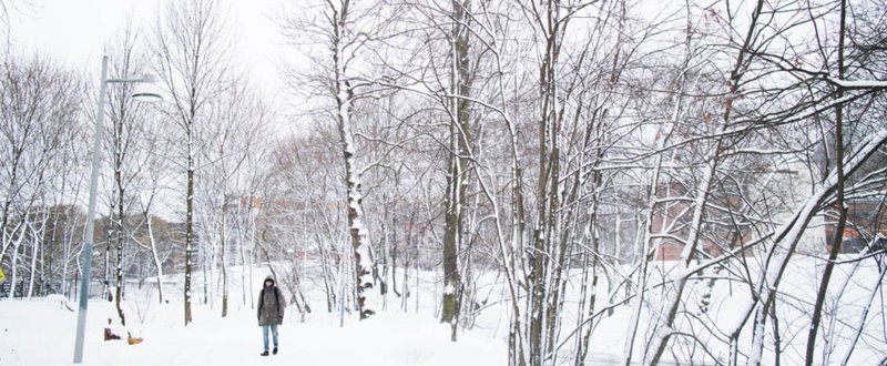幸福だとされる国で 孤独だ と叫ぶ人々 北欧ジャーナリストあぶみあさき 外国語の楽しい勉強法 Enjoy Nordic Languages Note