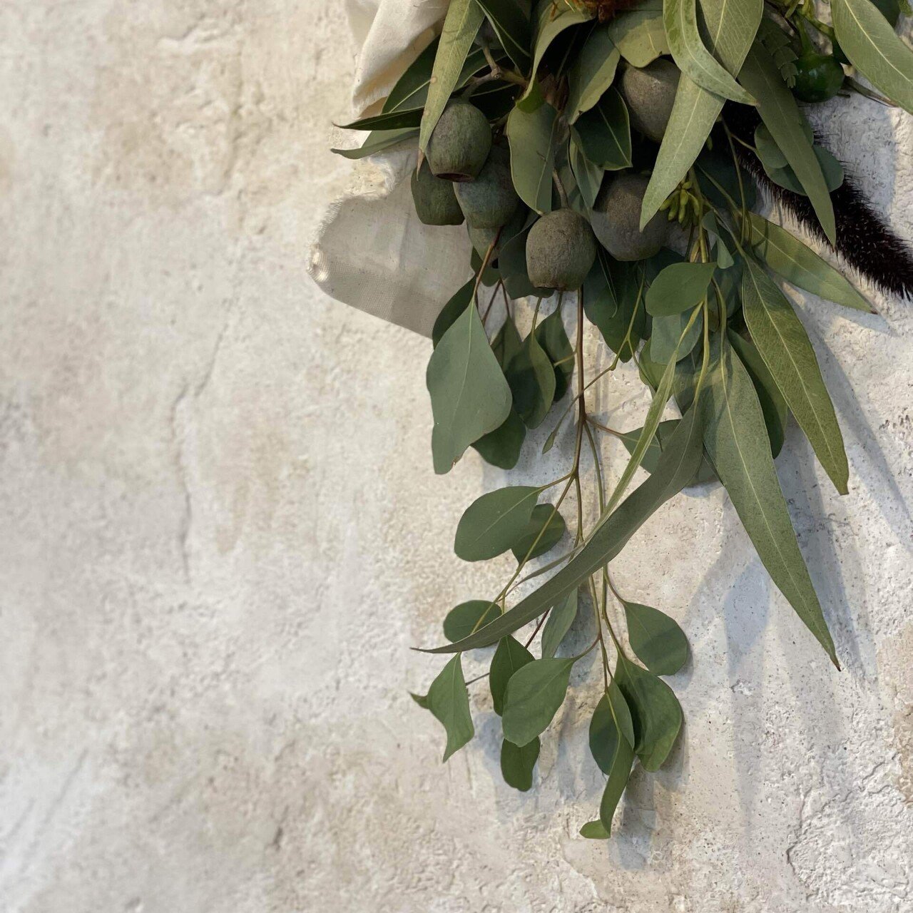 ドライフラワーにしやすいお花の定期便 9月号の紹介 Greenpiece Note ドライフラワーにしやすいお花の定期便 9月号の紹介 Greenpiece Note