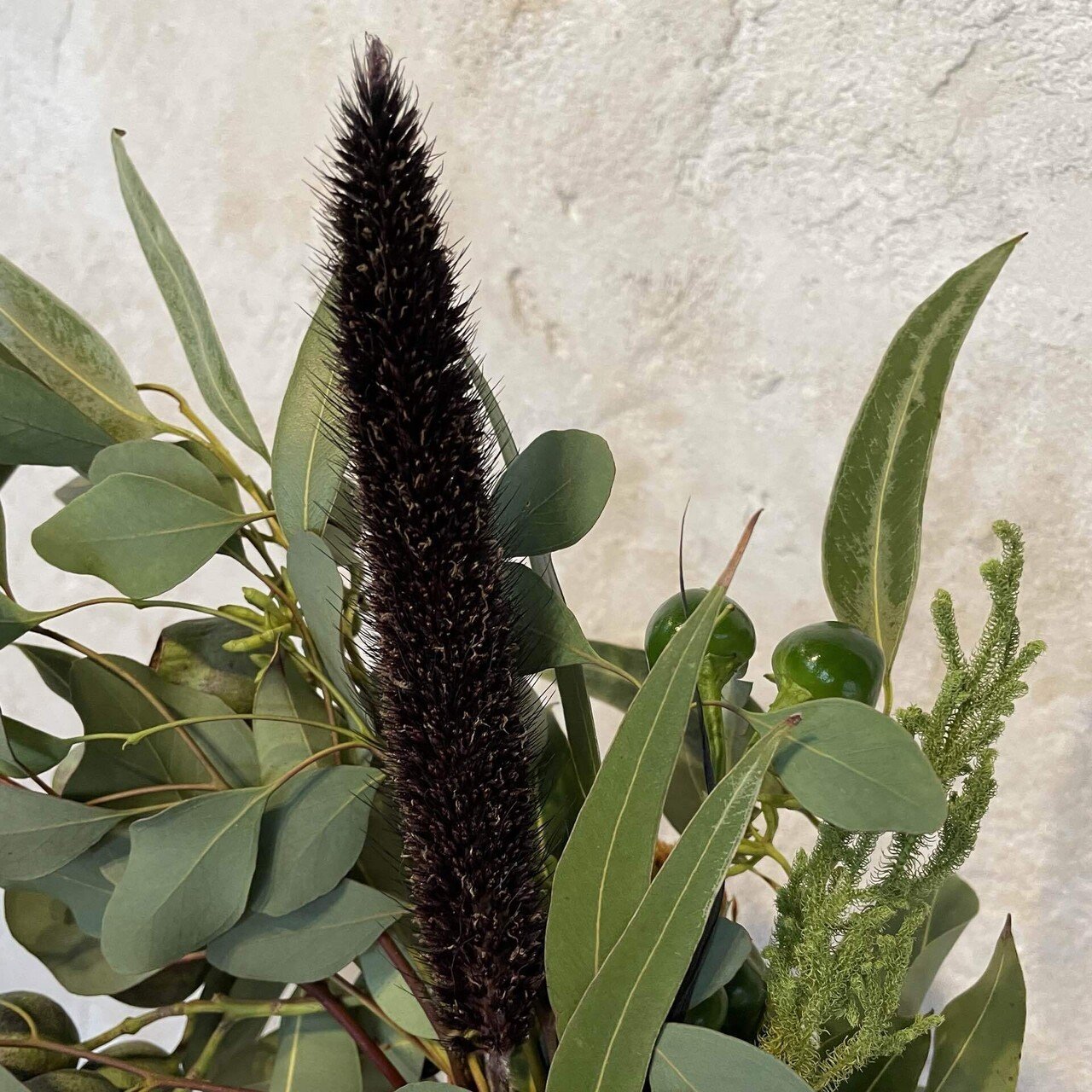 ドライフラワーにしやすいお花の定期便 ９月号の紹介 Greenpiece Note