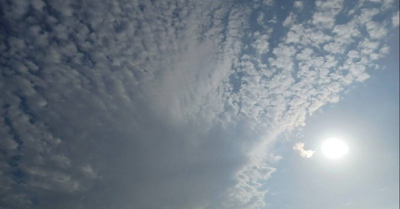 かめちゃんのセカウラ希望塾動画 の新着タグ記事一覧 Note つくる つながる とどける
