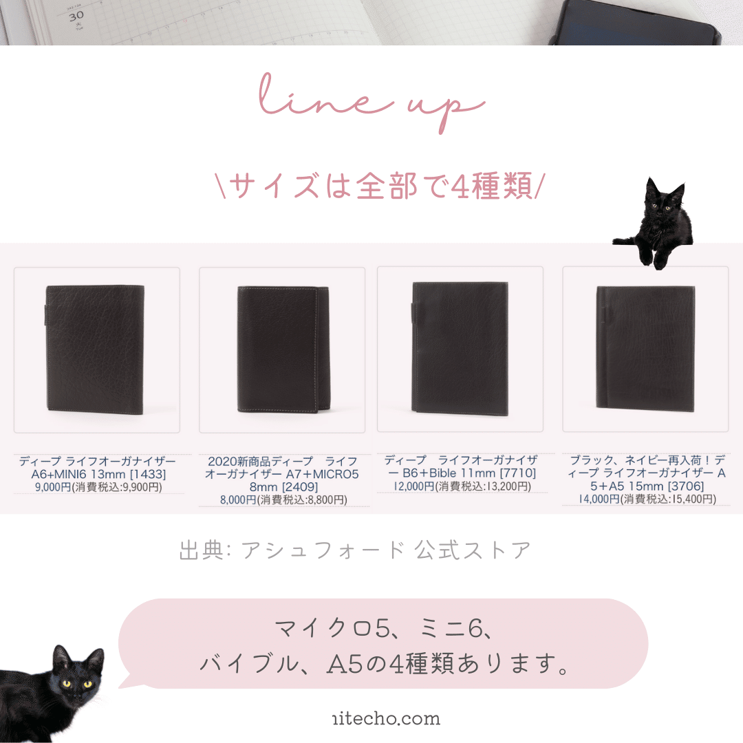 最終値下げ】アシュフォード m5サイズ ビタリータライフオーガナイザー 