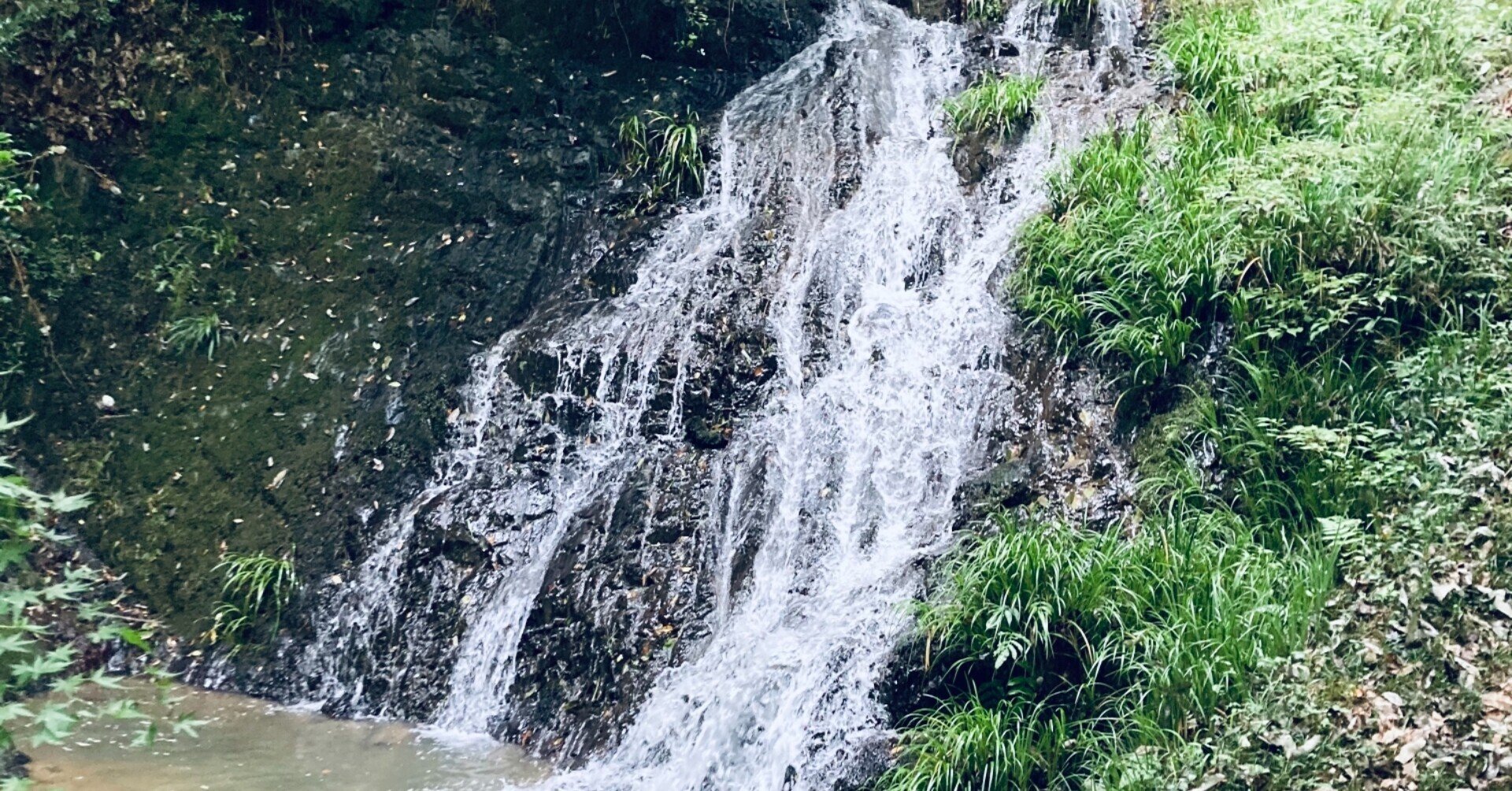 心の問題 ホ オポノポノ実践家族のミニコラム Uiwater Note 心の問題 ホ オポノポノ実践家族のミニコラム Uiwater Note