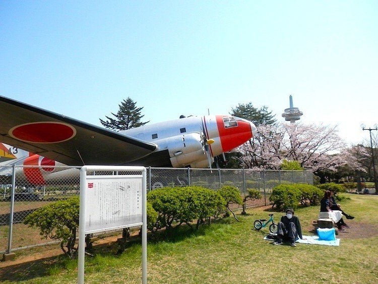 桜の咲いているうちに原稿が上げられたので、今年もどこかに桜を見に行くことにしました。今年は所沢の航空公園。