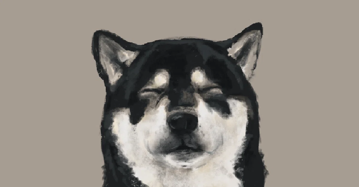 画像13
