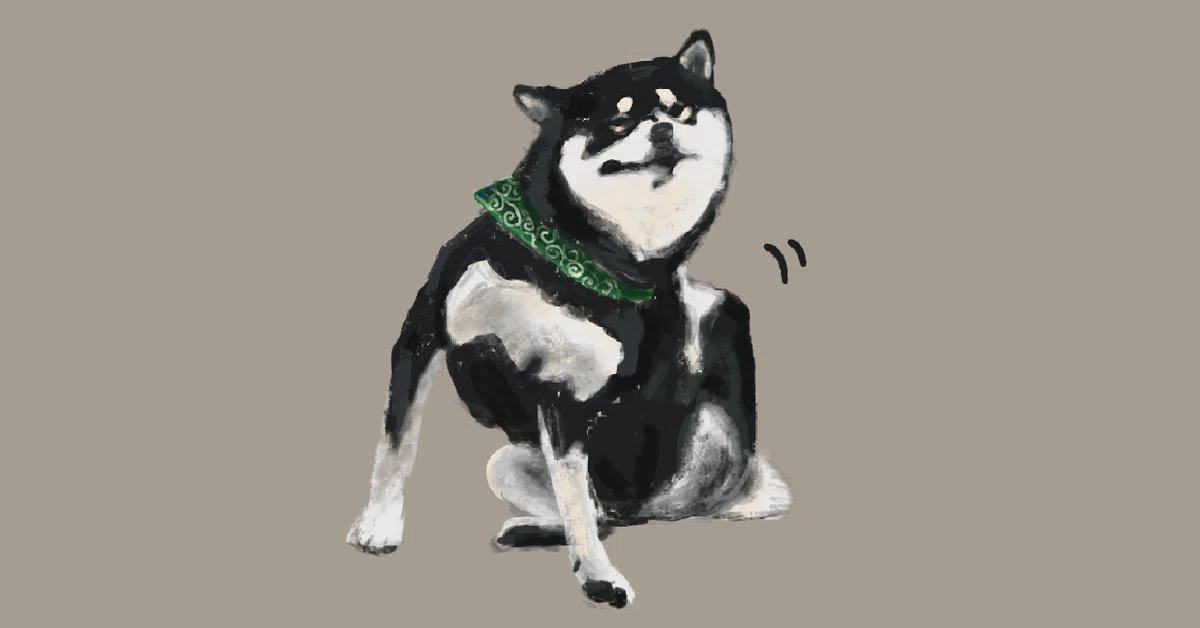 画像14