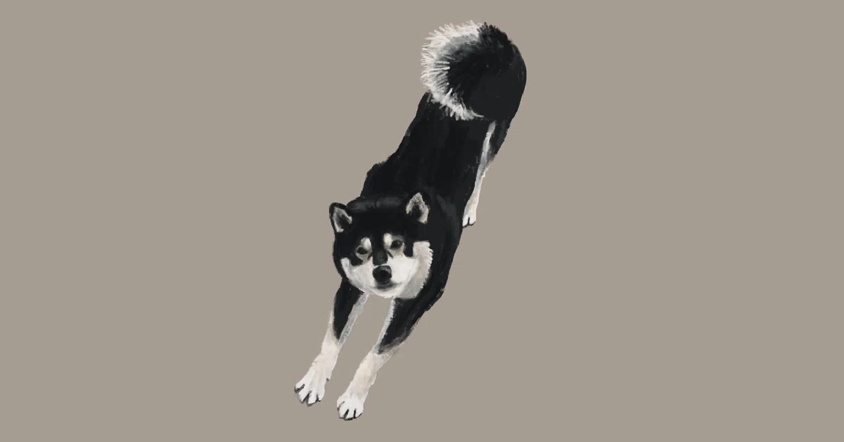 画像10