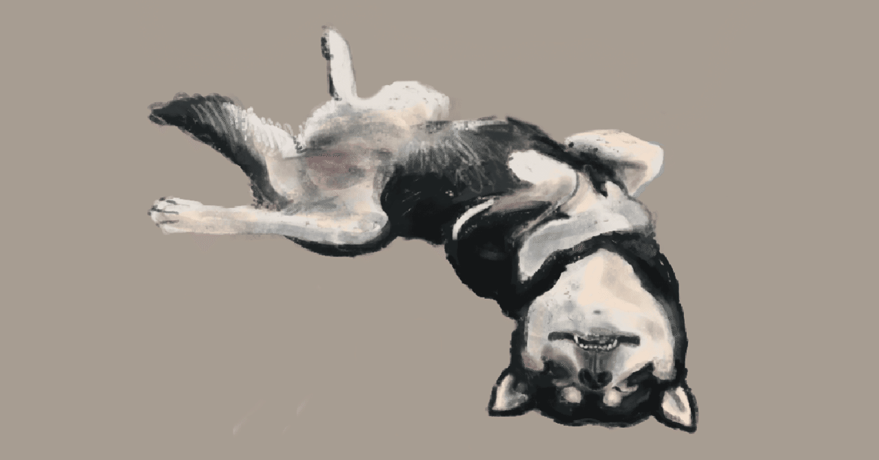 黒柴イラスト みんなのフォトギャラリー用 塩 Sio Note 黒柴イラスト みんなのフォトギャラリー用 塩 Sio Note