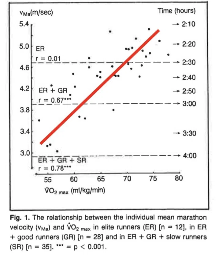 最大酸素摂取量（VO2MAX）の向上を目的としたトレーニング？｜C. Murasawa