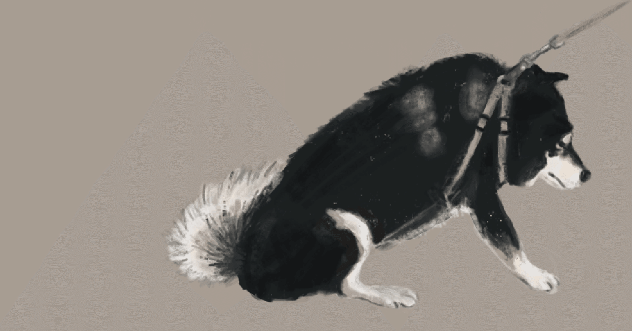 黒柴イラスト みんなのフォトギャラリー用 塩 Sio Note 黒柴イラスト みんなのフォトギャラリー用 塩 Sio Note