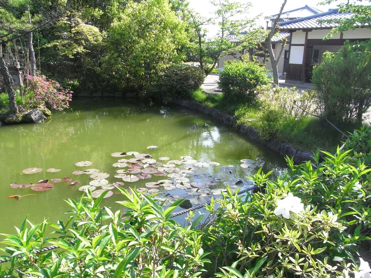 画像4