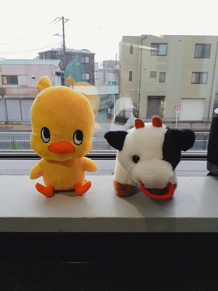 画像9