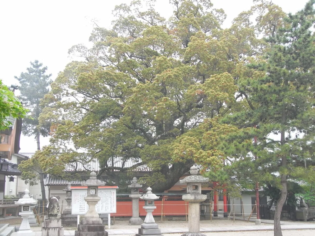 画像4
