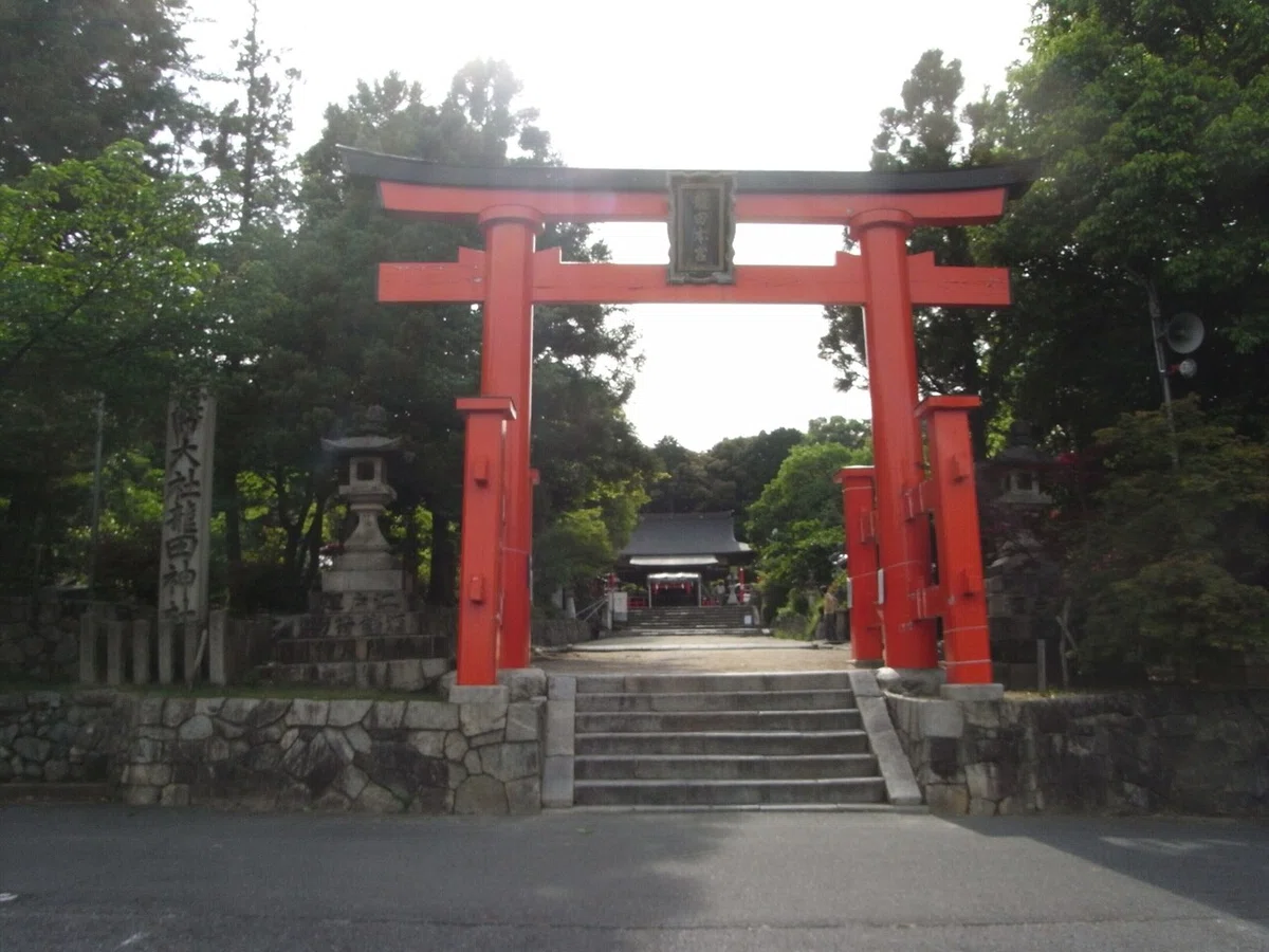画像6