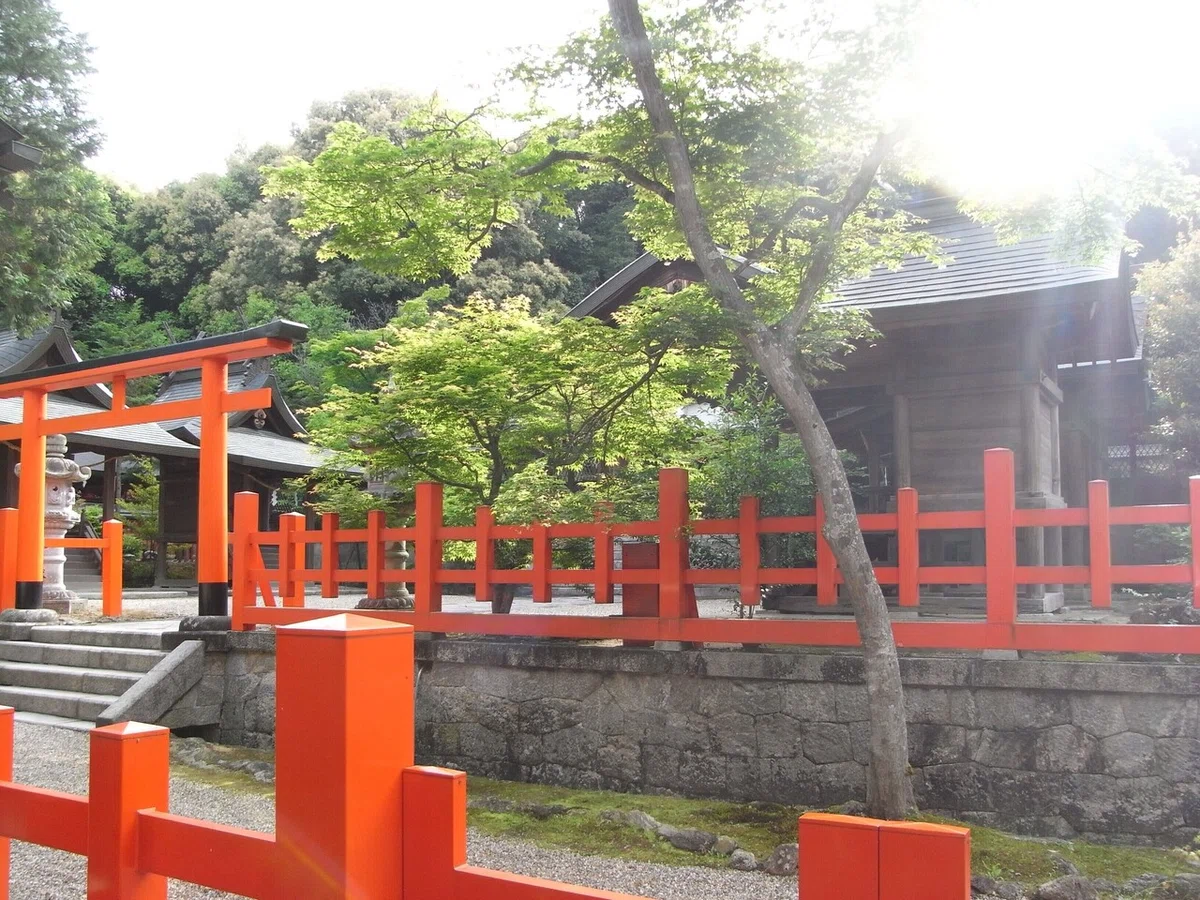 画像12
