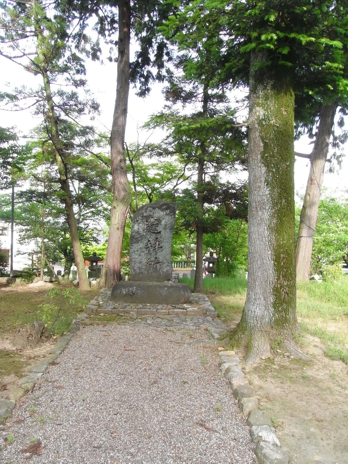 画像16