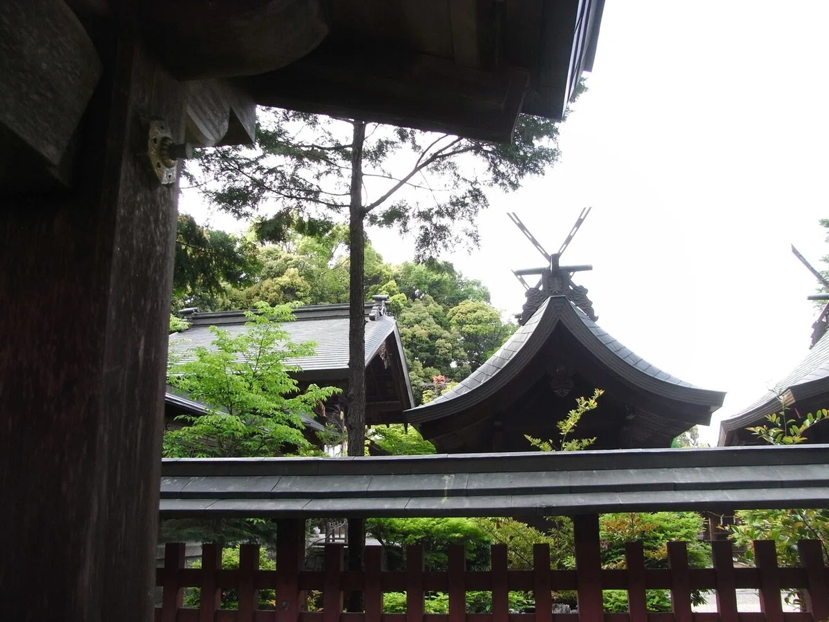 画像18