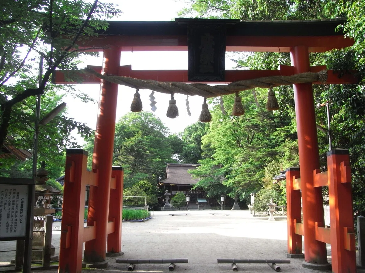画像5