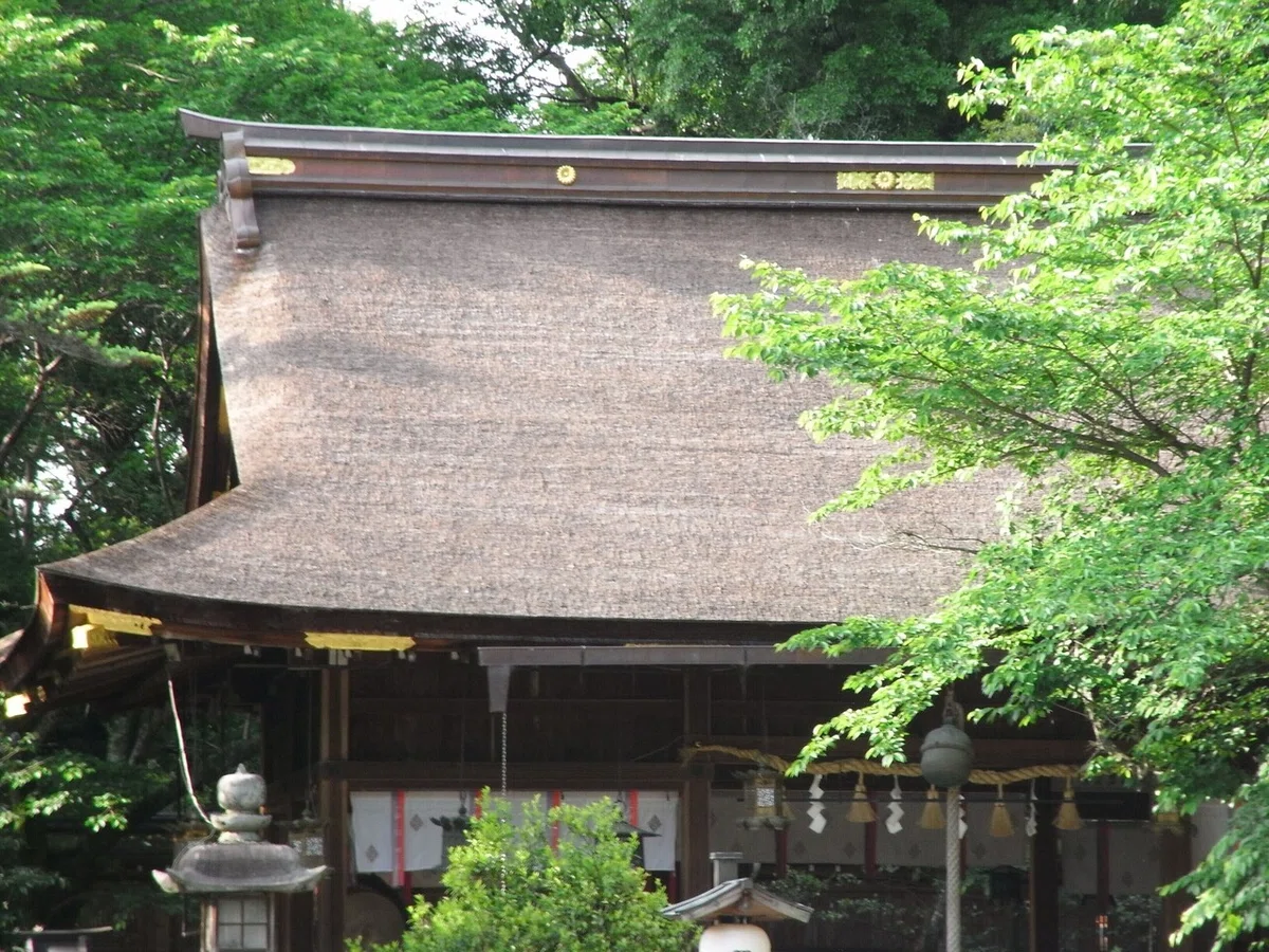 画像7