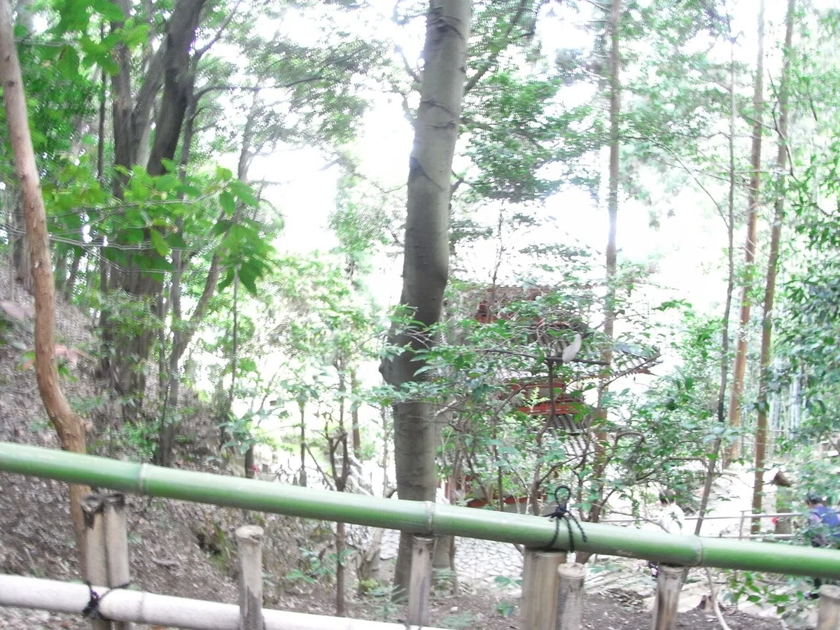 画像5