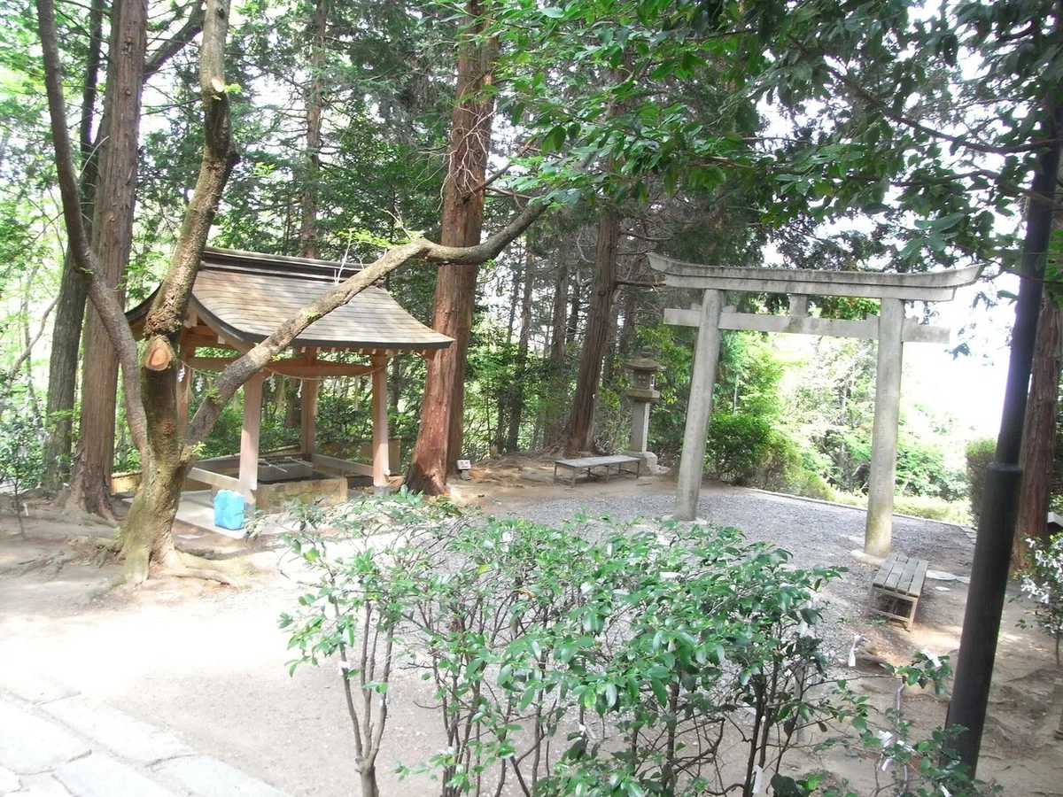 画像8