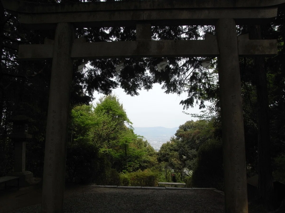 画像9
