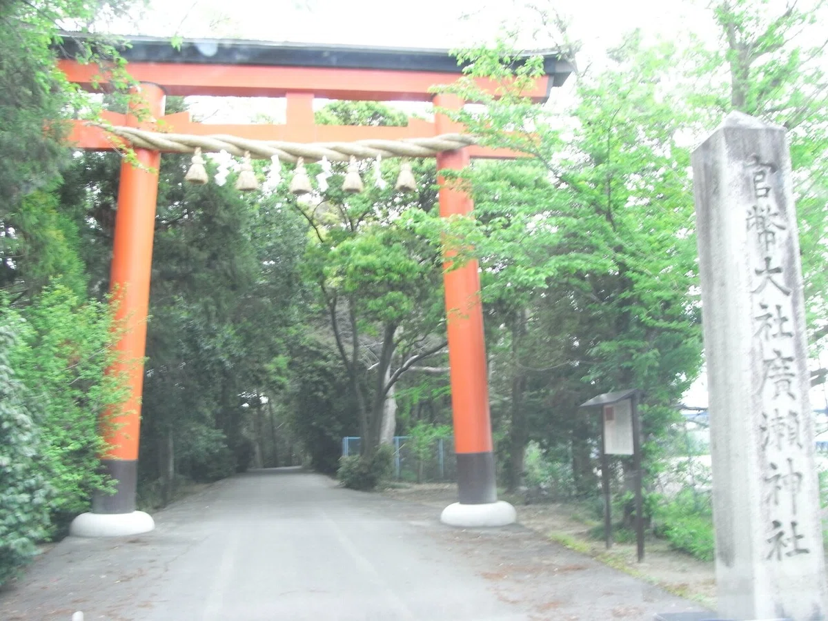 画像9