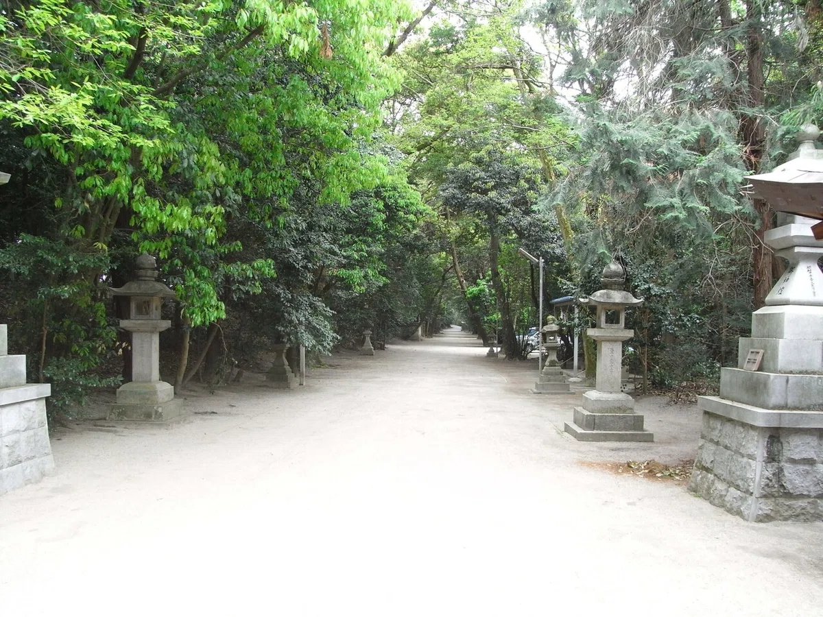 画像10