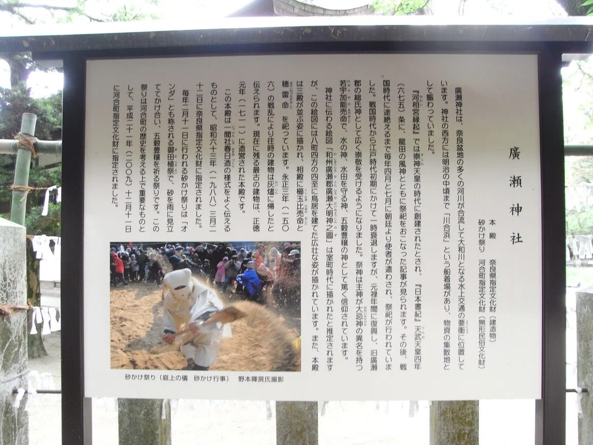 画像11