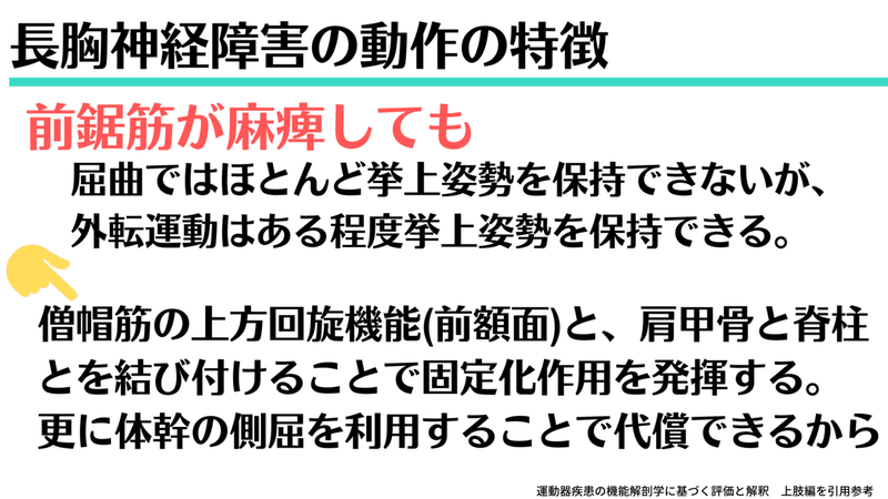 肩関節機能を神経障害 (5)