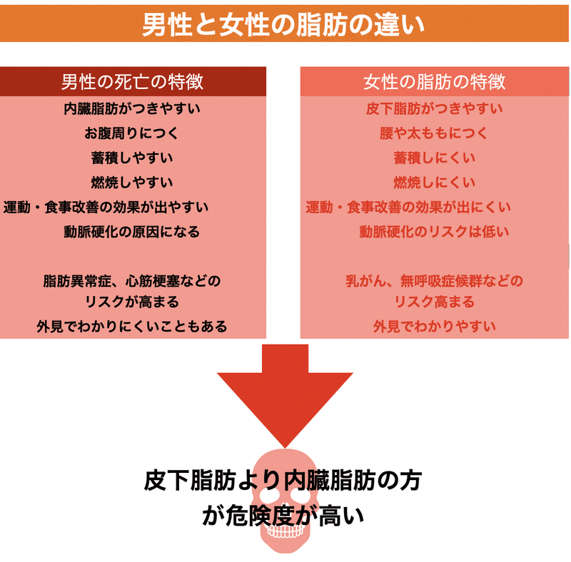 男女 脂肪 つき方