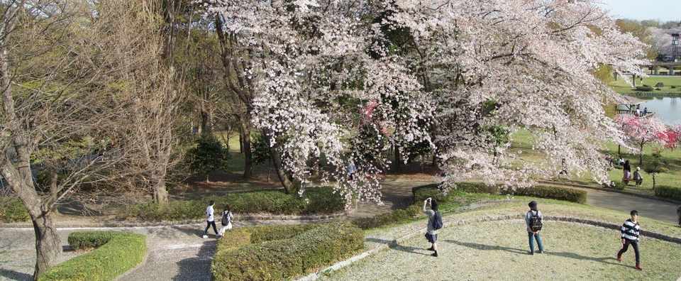 彼氏のことが好きすぎでどうしよう Annakarina Note