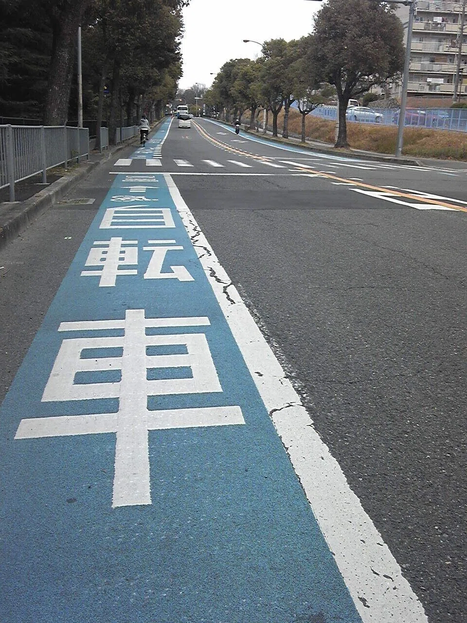 自転車専用