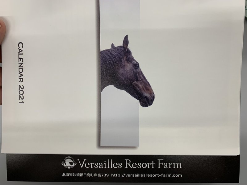 引退馬のカレンダーを眺める日々 ストーム叉焼 Note 引退馬のカレンダーを眺める日々 ストーム叉焼 Note