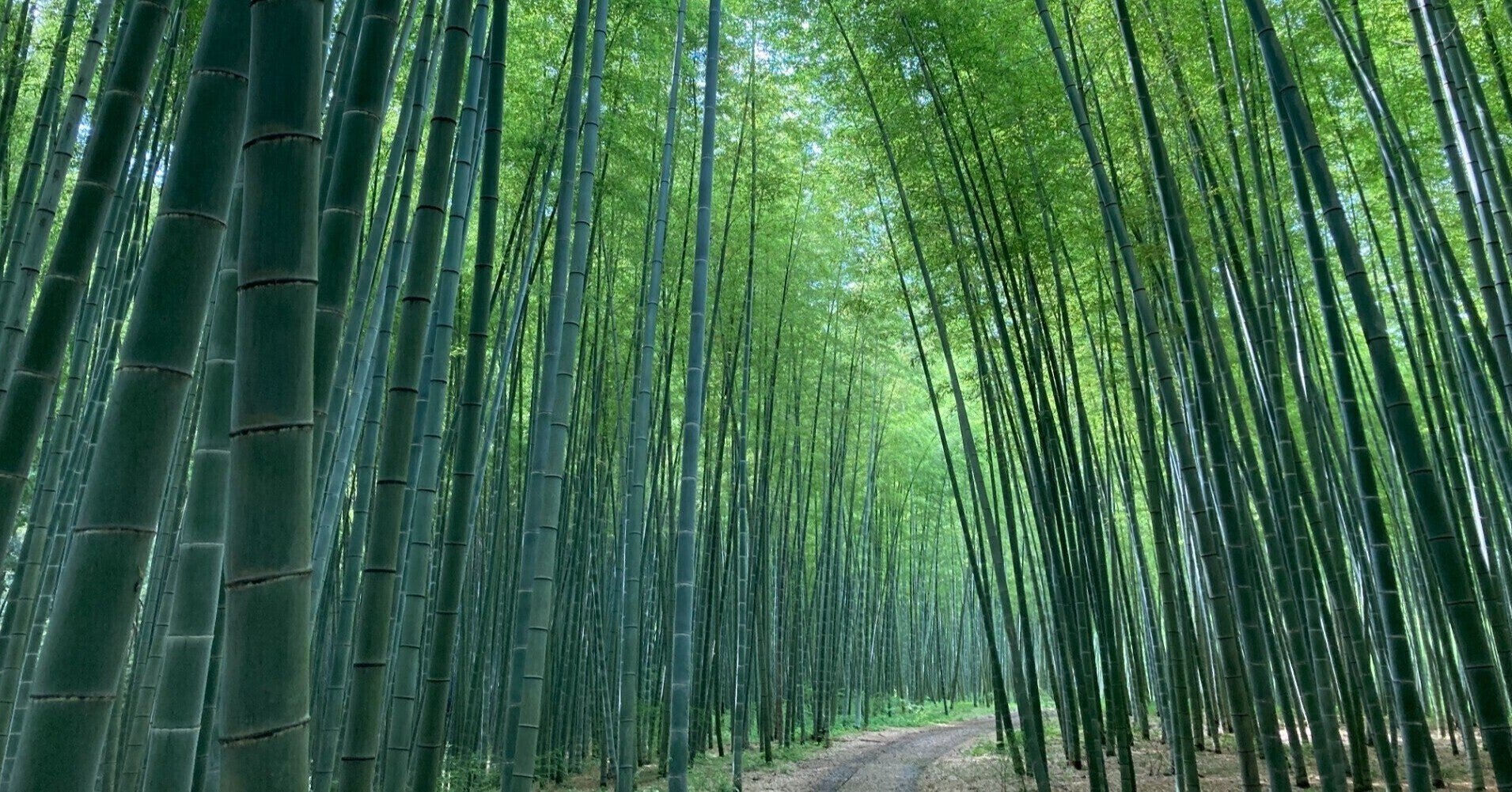 映画やドラマのロケ地について 調べ方から楽しみ方まで 犬猫映文館 Note 映画やドラマのロケ地について 調べ方から楽しみ方まで 犬猫映文館 Note