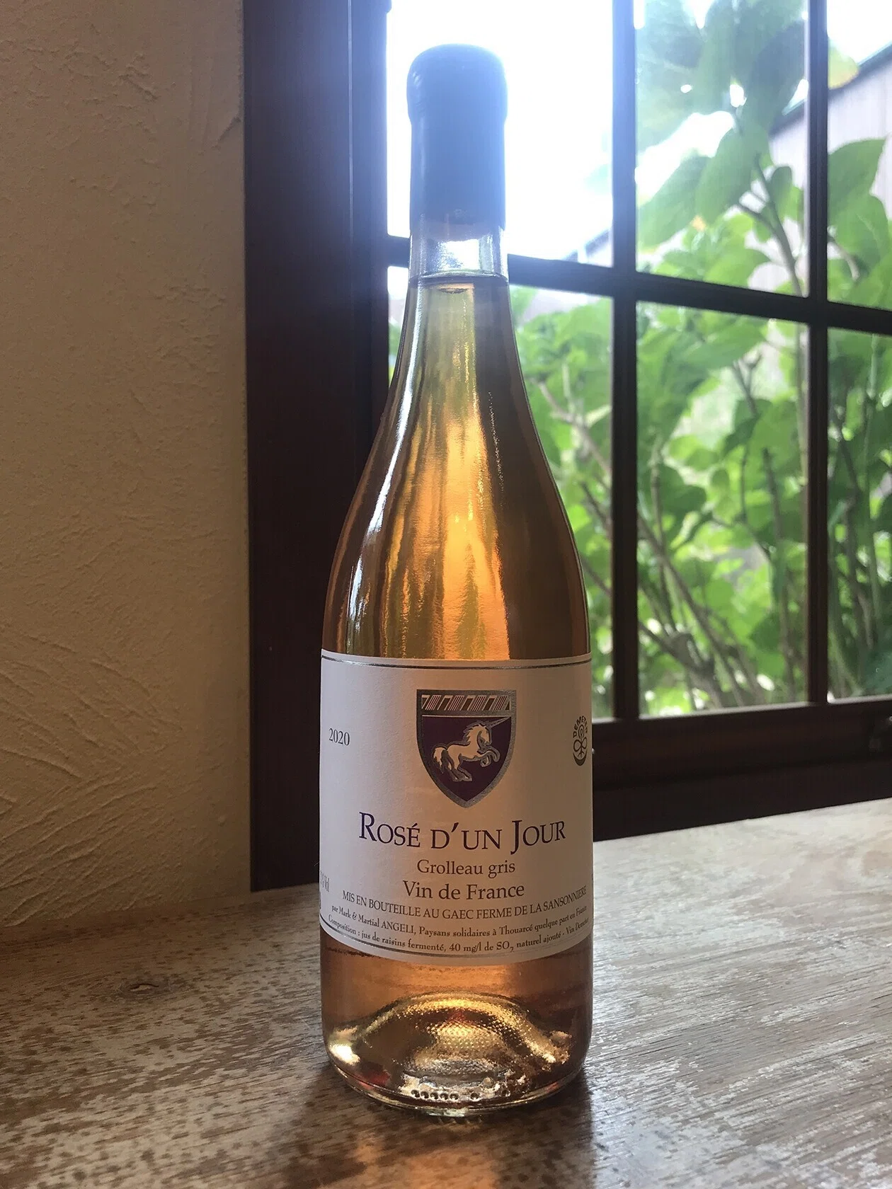 Rosé d'Un Jour 2020｜泉美帆のただいま勉強中