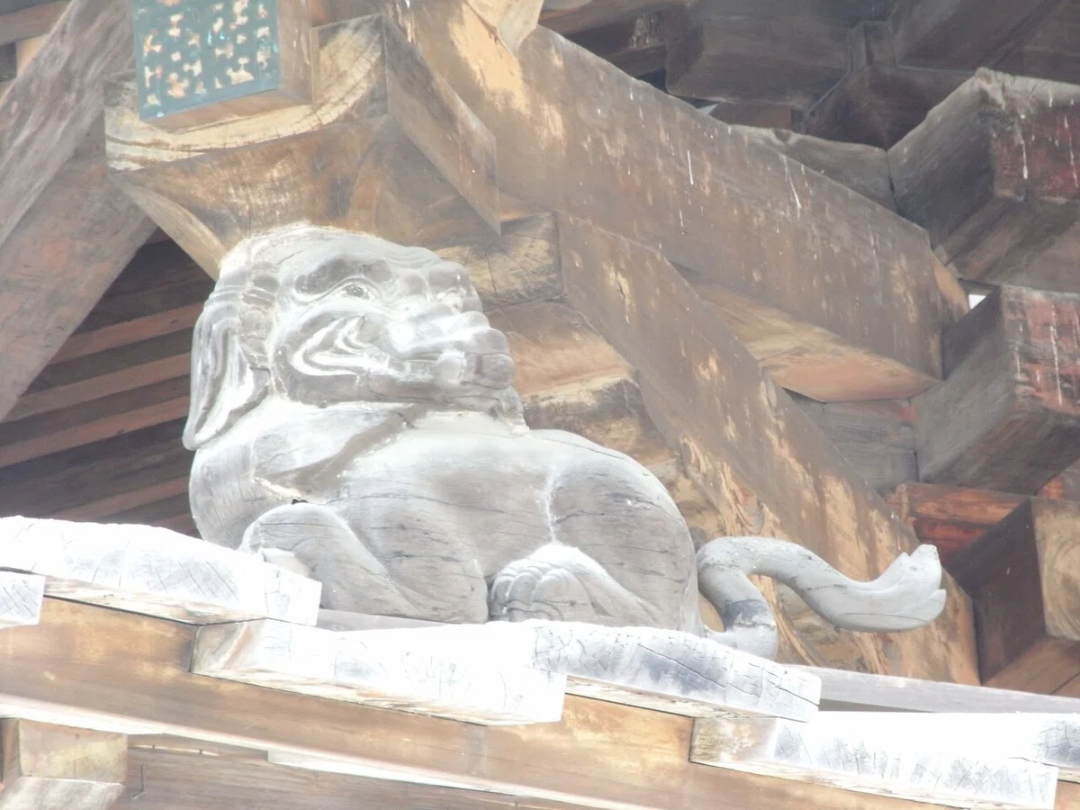 画像19