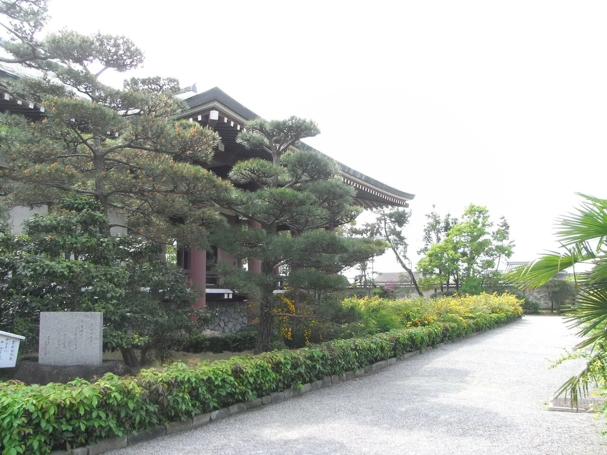 画像7