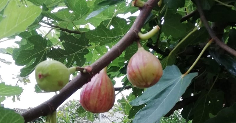 詩「いそぐ秋の日」