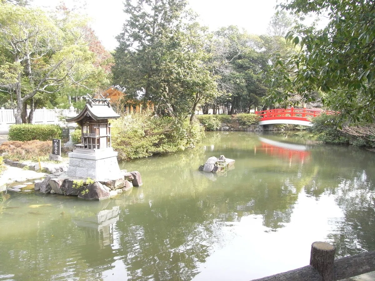 画像4
