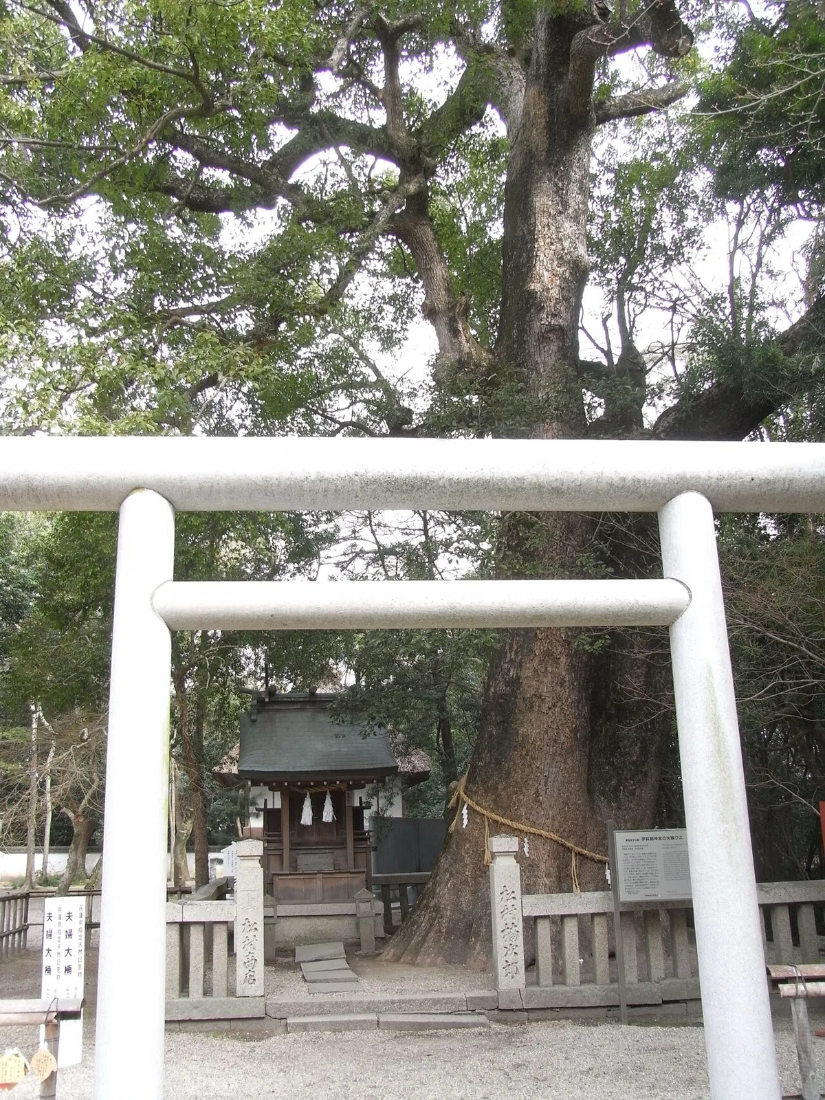 画像9
