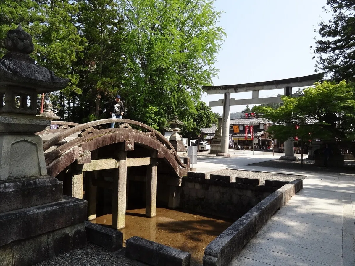 画像13