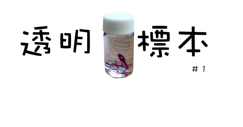 透明標本 の新着タグ記事一覧 Note つくる つながる とどける