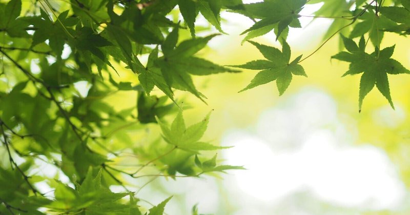 青紅葉 の新着タグ記事一覧 Note つくる つながる とどける