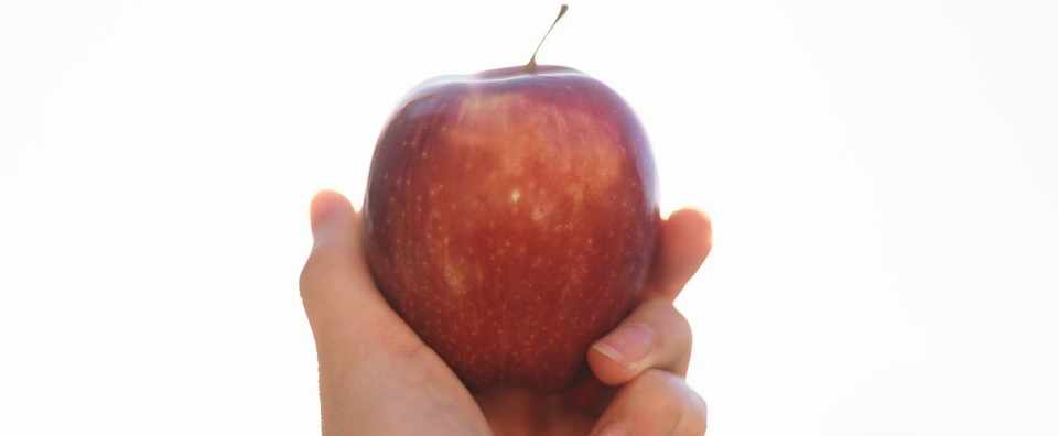 シャンデリアを10回いってください 大雪 Note