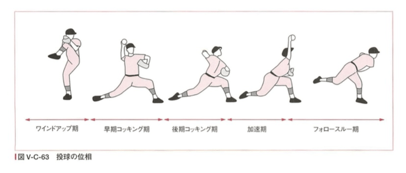 野球の投球動作について|しっこくの理学療法士