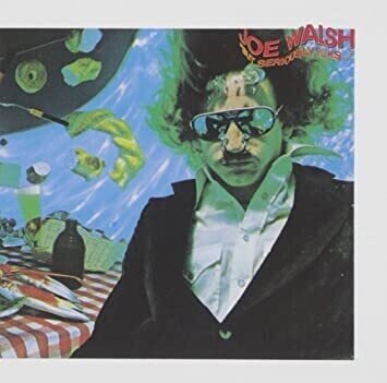帯付き！国内盤！Joe Walsh / ジョー・ウォルシュ・セカンド Amazon.co.jp: ジョー・ウォルシュ・セカンド: ミュージック