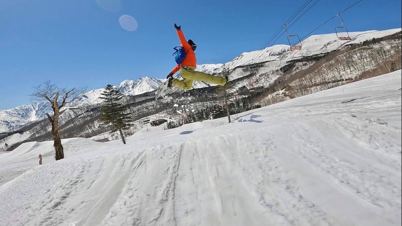 スノービースト Snow なう beast ディッキア 発根済みカキ子