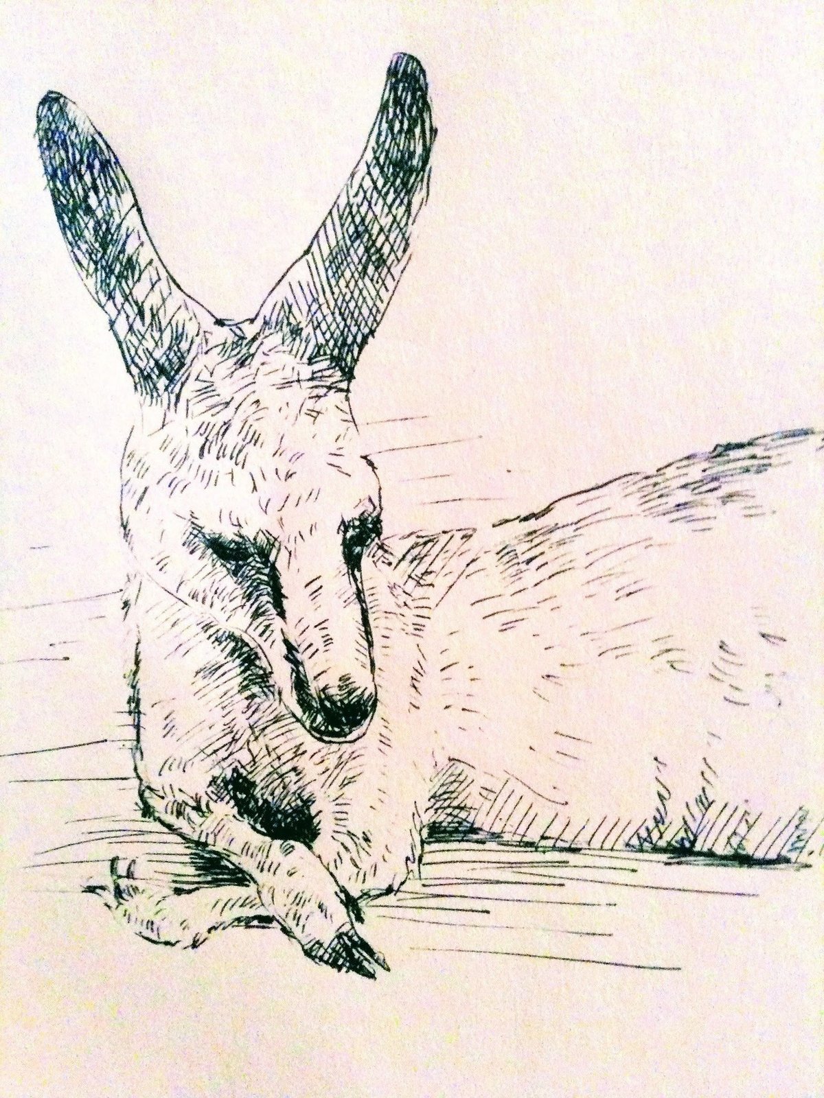 デッサンを学んで良かったこと｜マスブチミナコ 